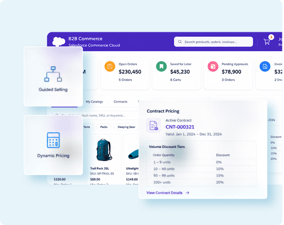 Salesforce Starter